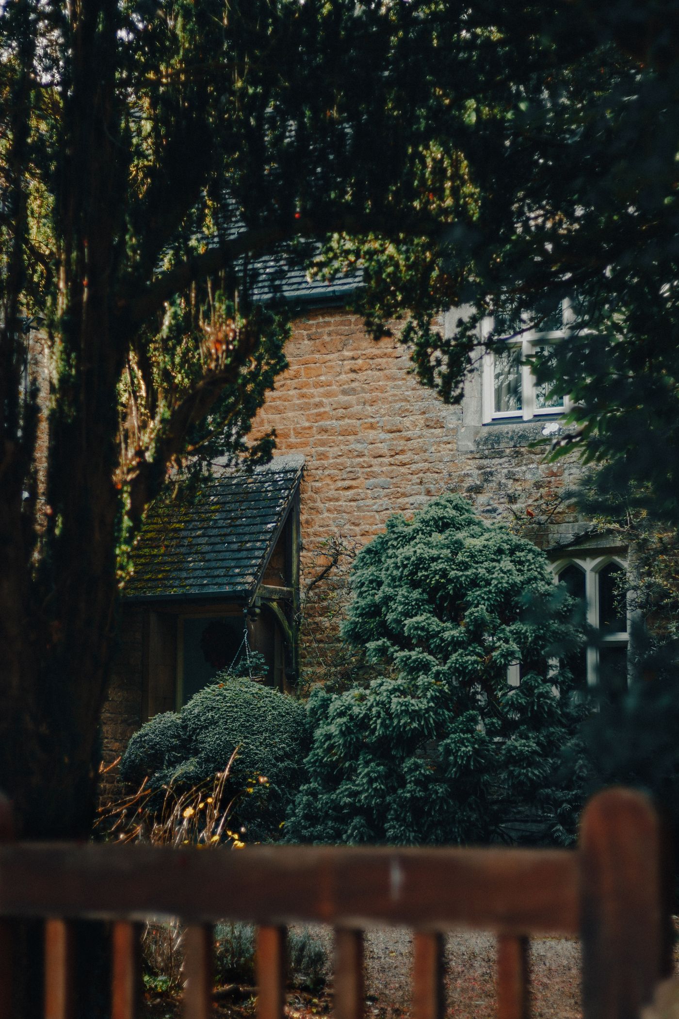 An ivy-covered stone house behind mature planting